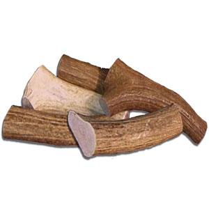 Antler Chew 8-10" Large Whole
