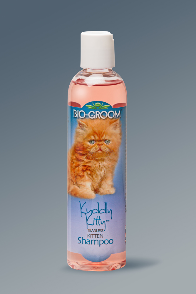 kitty kitty shampoo