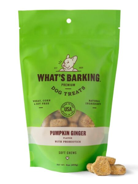 Pumpkin Ginger w/ Probiotics 9oz Bag Soft Chews