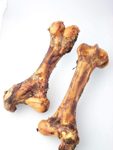 Mammoth Bone 16"- 18" s/w