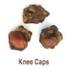 Knee Caps s/w